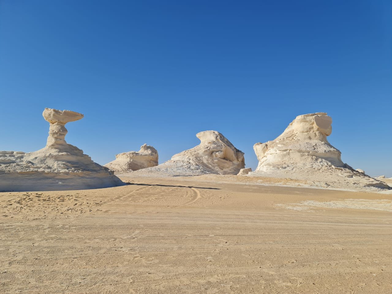 Egyptian Desert